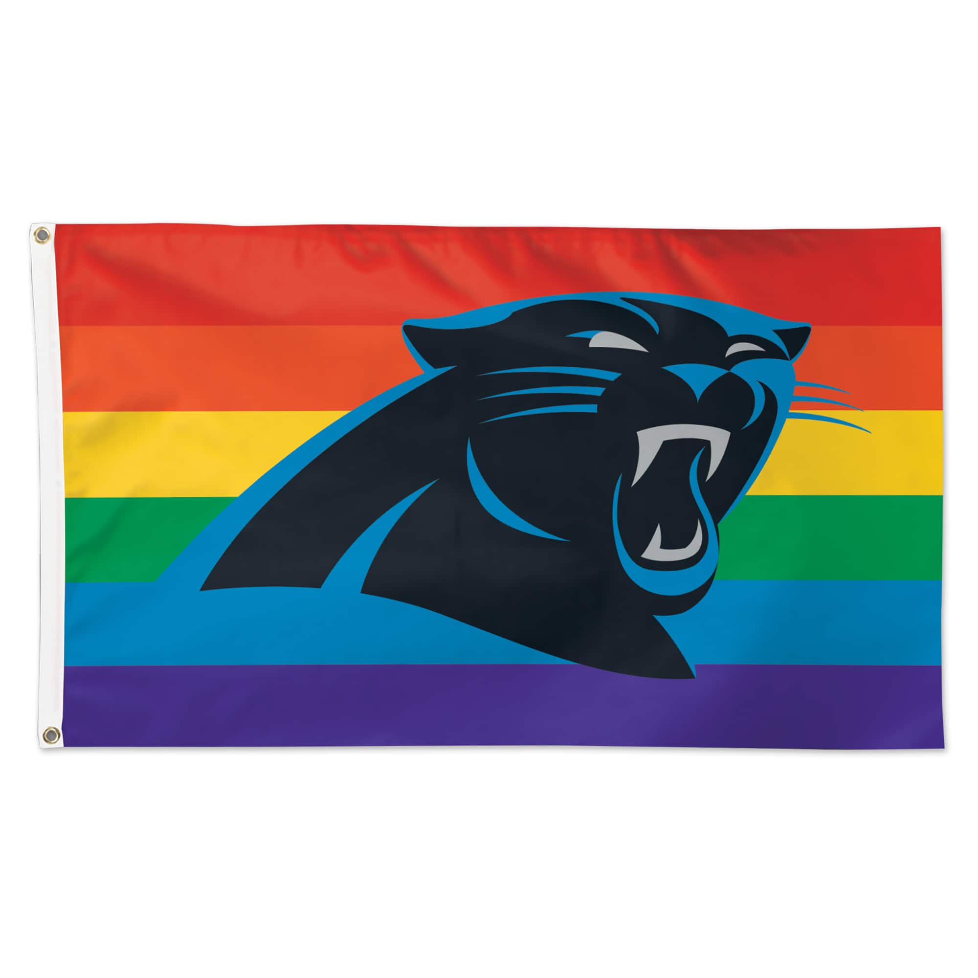 WinCraft - Carolina Panthers 3' x 5' Pride 1-Sided Deluxe Flag - Multicolor