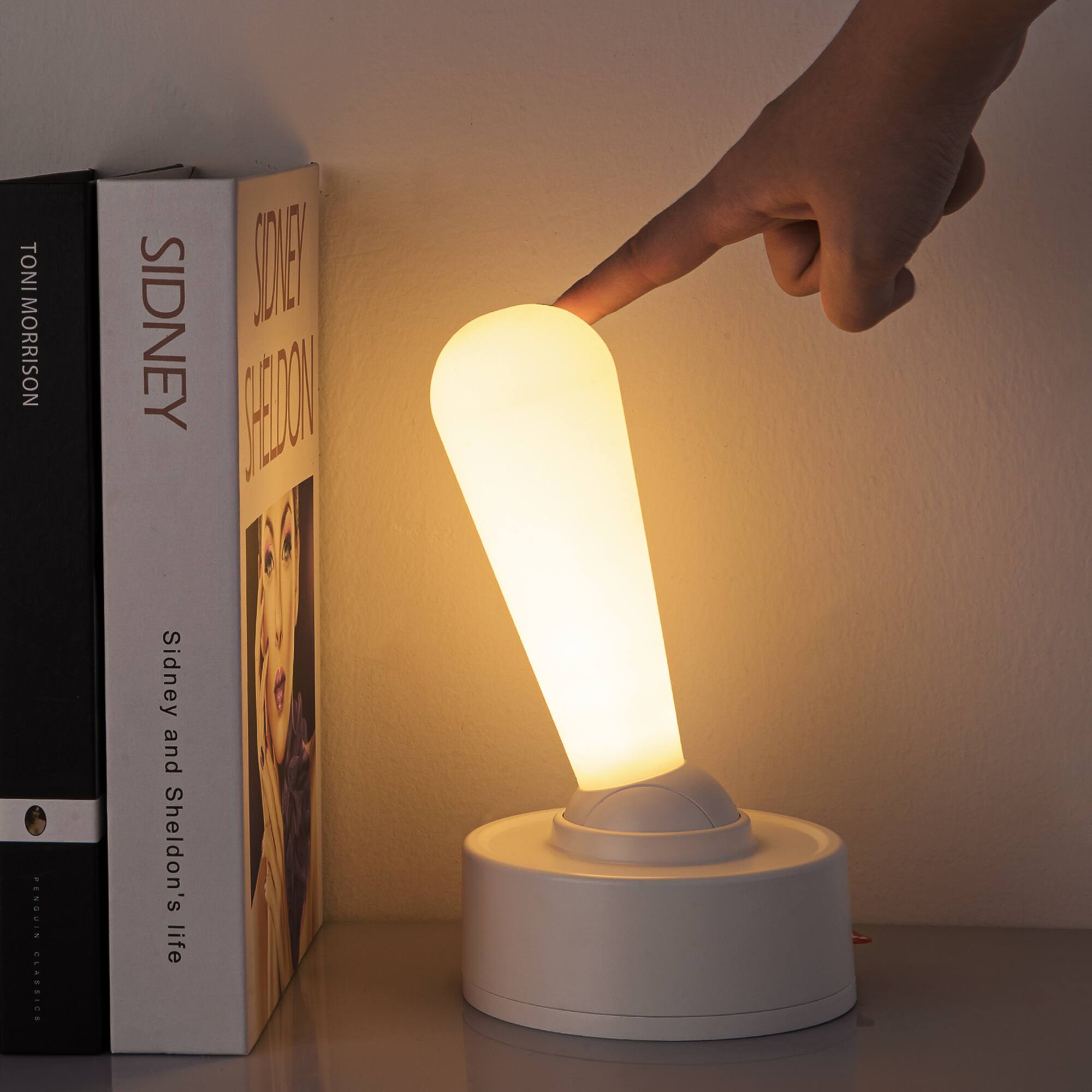 Sidney and Sheldon's life

Sidney Sheldon

Toni Morrison