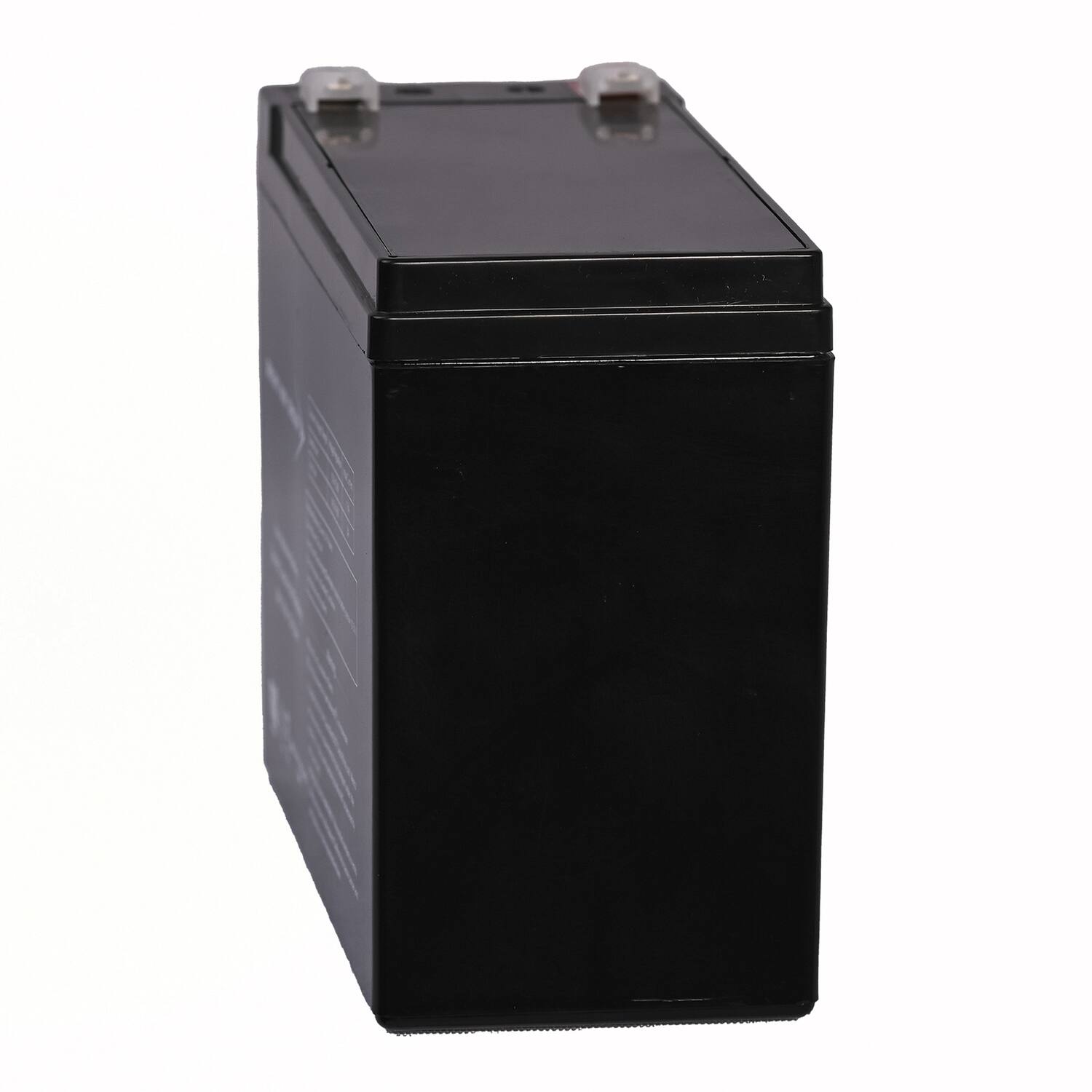Angle. BRIGHT WAY GROUP - BWG 12100-S F2 Sealed Lead Acid Battery - Black.