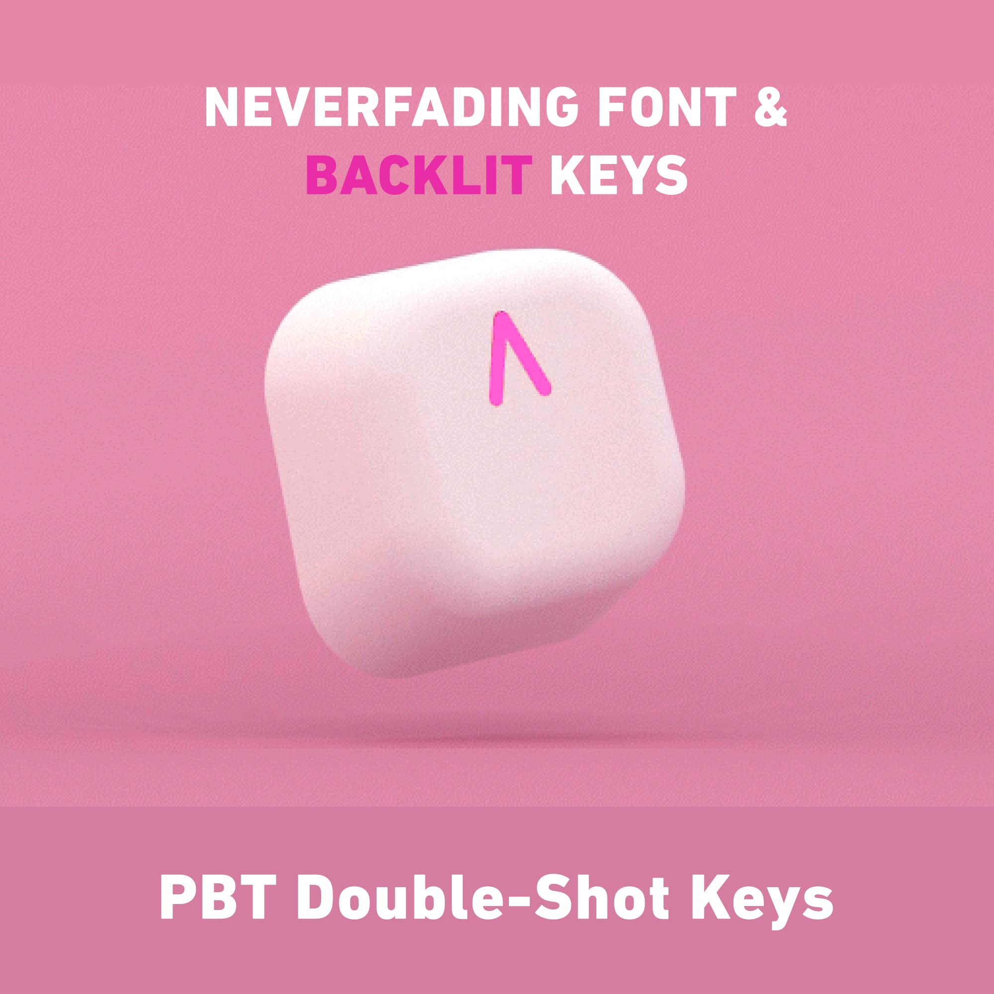 NEVERFADING FONT & BACKLIT KEYS

PBT Double-Shot Keys