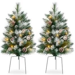 Best Choice Products - Set of 2 24.5in Outdoor Scotch Pine Pathway Christmas Trees Decor w/ LED Lights, Pine Cones - Frosted