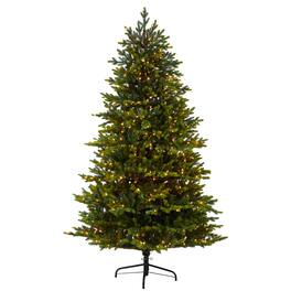 BreeBe - 7’ North Carolina Xmas Tree w/550 Clear Lights and 3703 Tips - Green