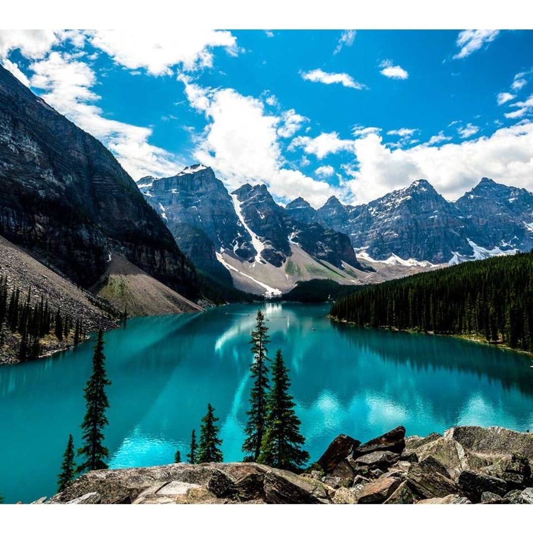 Alt View Zoom 26. ViewSonic - VX3211-4K-MHD 31.5" LCD 4K UHD FreeSync Monitor (DisplayPort, and HDMI) - Black.