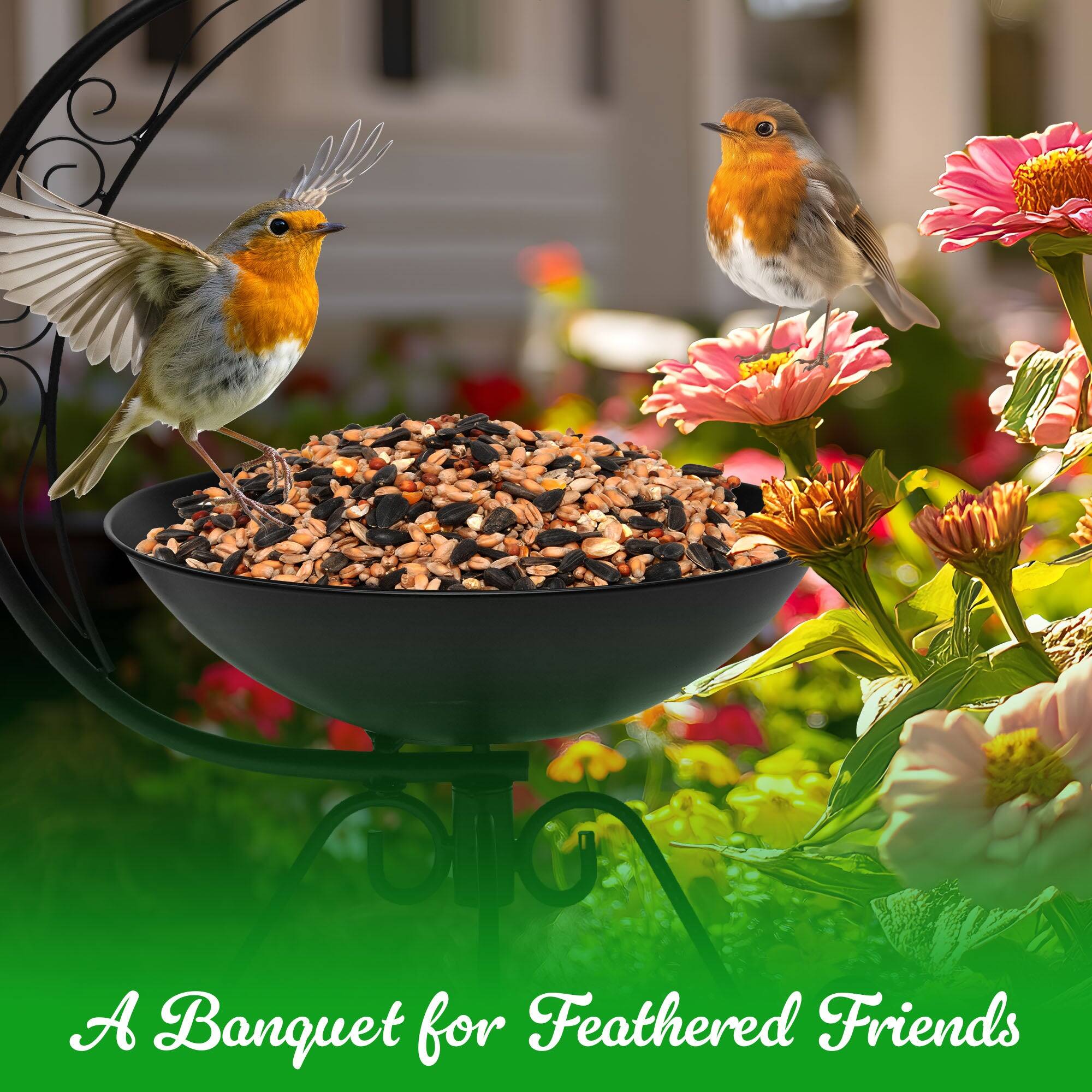 A Banquet for Feathered Friends