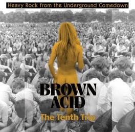 Various Artists - Brown Acid - The Tenth Trip (Various Artists) - VINYL LP