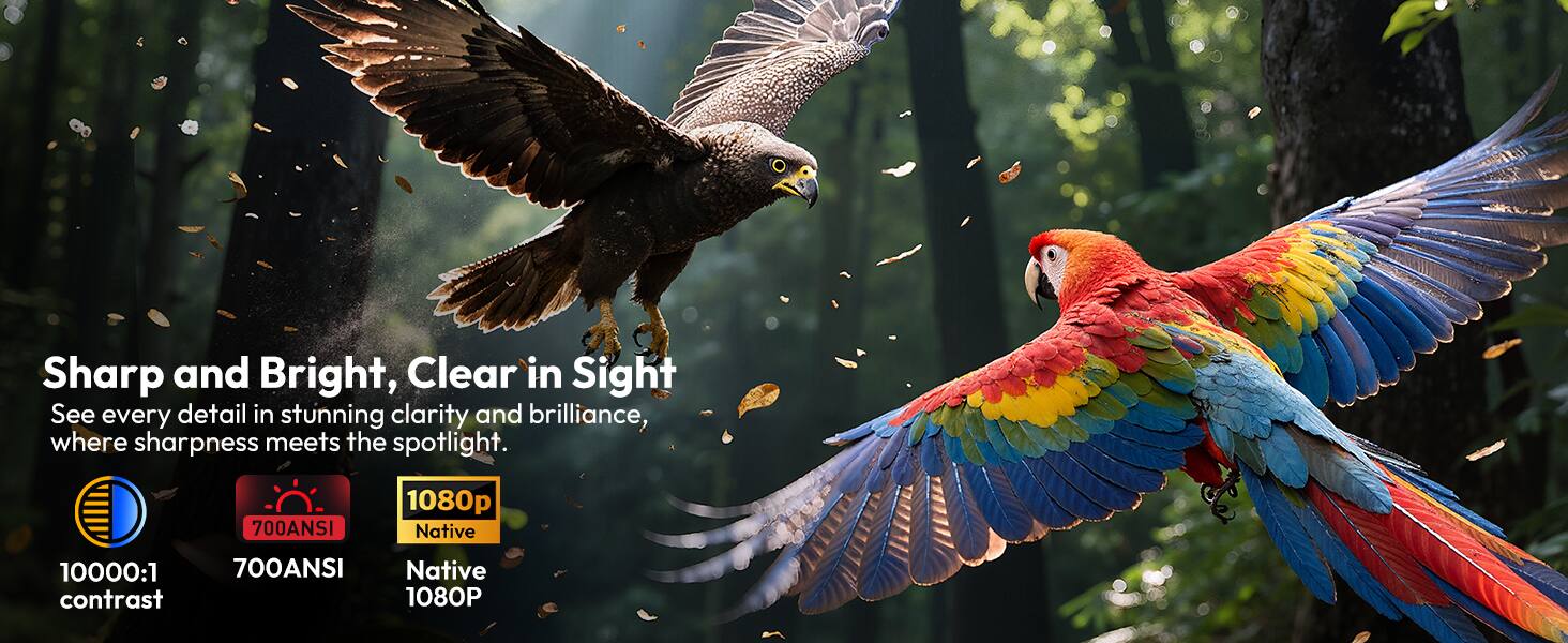 Sharp and Bright, Clear in Sight

See every detail in stunning clarity and brilliance, where sharpness meets the spotlight.

1000:1 contrast

700ANSI

1080p Native

700ANSI Native 1080P
