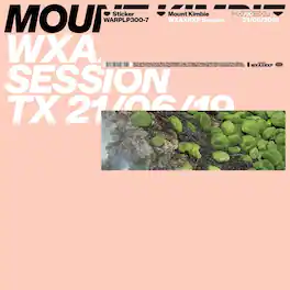 Mount Kimbie - Wxaxrxp Session - VINYL LP