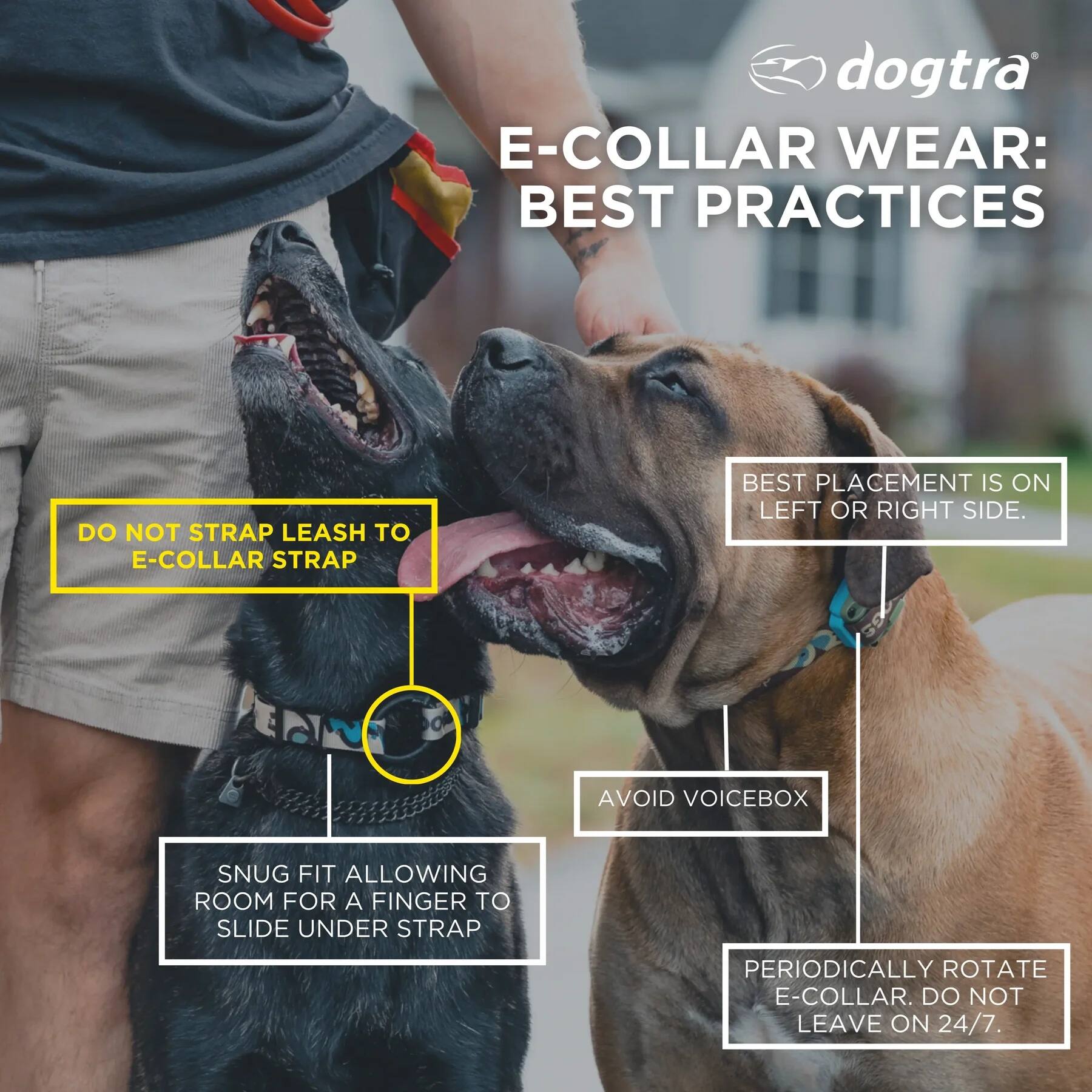 dogtra E-COLLAR WEAR: BEST PRACTICES

- DO NOT STRAP LEASH TO E-COLLAR STRAP
- BEST PLACEMENT IS ON LEFT OR RIGHT SIDE
- AVOID VOICEBOX
- SNUG FIT ALLOWING ROOM FOR A FINGER TO SLIDE UNDER STRAP
- PERIODICALLY ROTATE E-COLLAR. DO NOT LEAVE ON 24/7