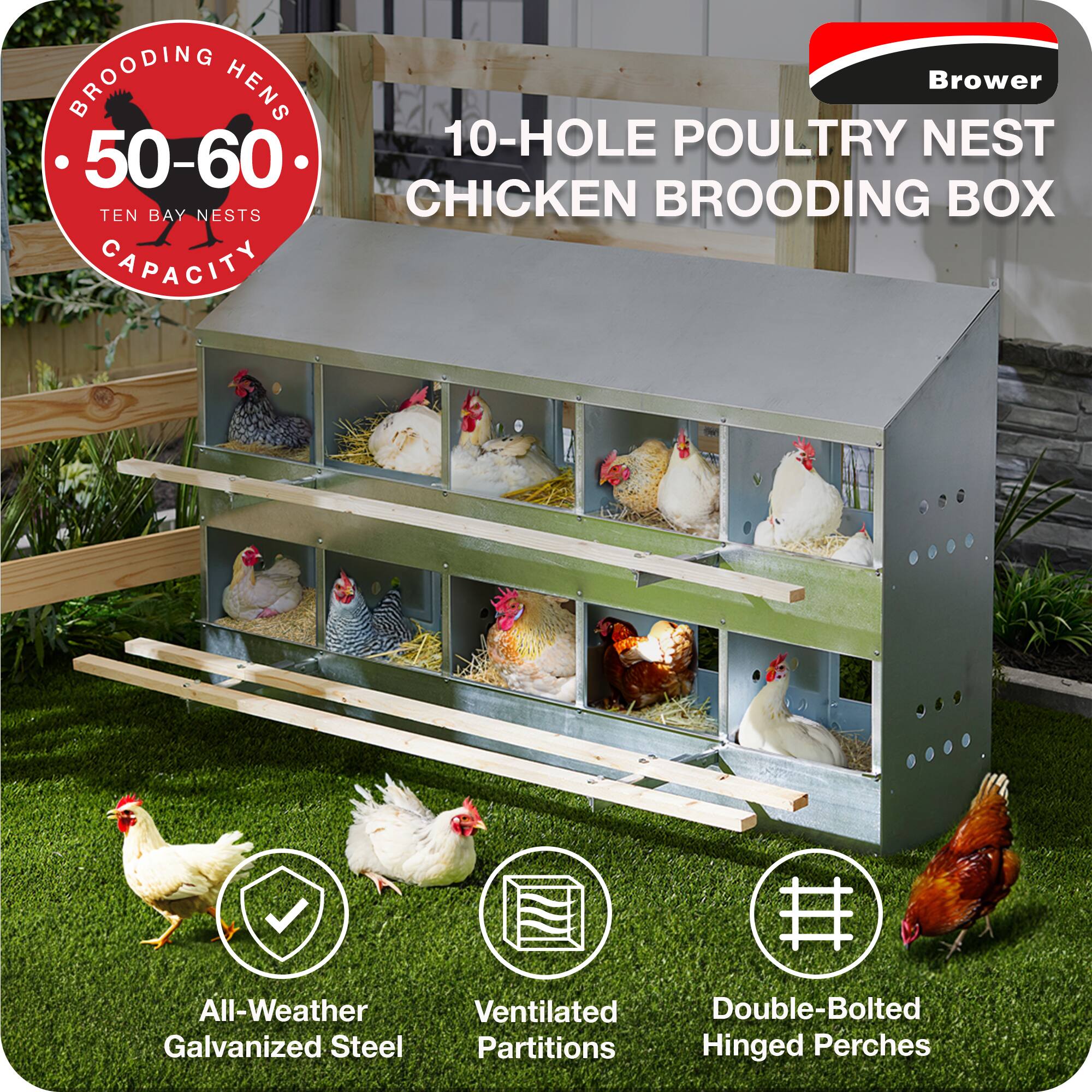 Brower 10-HOLE POULTRY NEST CHICKEN BROODING BOX

- 50-60 TEN BAY NESTS CAPACITY
- All-Weather Galvanized Steel
- Ventilated Partitions
- Double-Bolted Hinged Perches