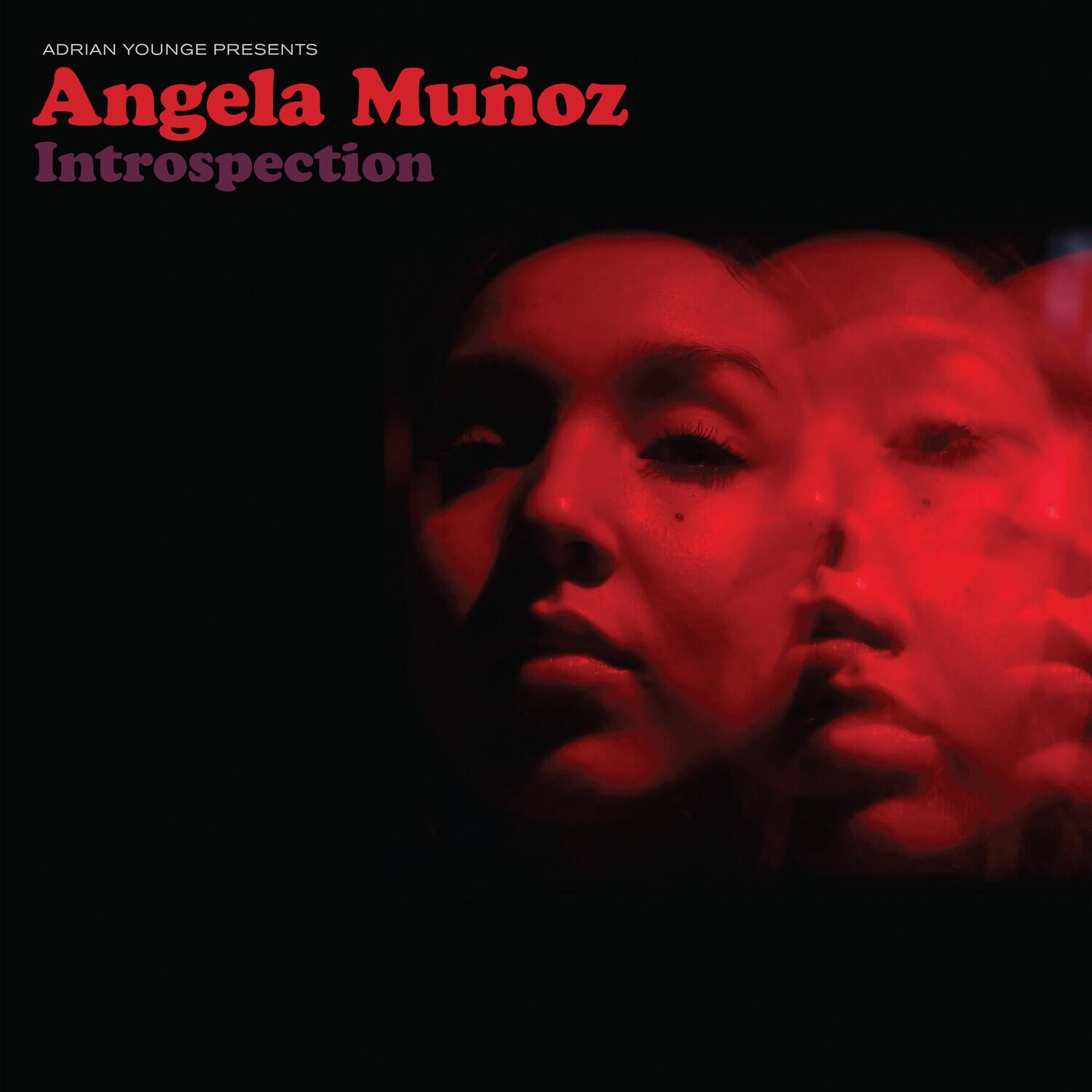 ADRIAN YOUNGE PRESENTS  
Angela Muñoz  
Introspection