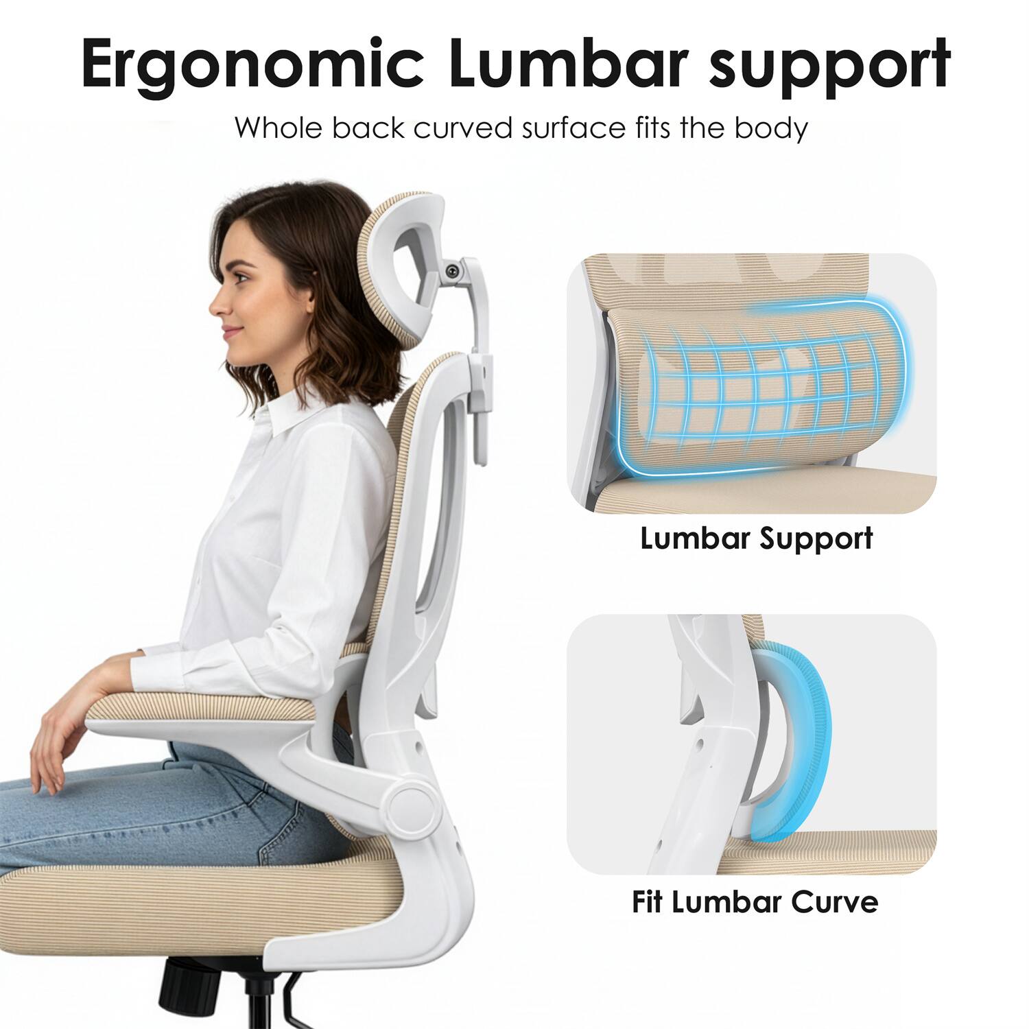 Ergonomic Lumbar support  
Whole back curved surface fits the body  

Lumbar Support  

Fit Lumbar Curve