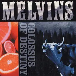 The Melvins - Colossus Of Destiny - Purple - VINYL LP