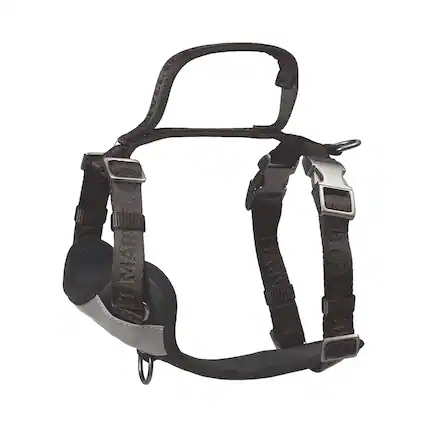 Front. PET MARVEL - PET MARVEL Adjustable Embroidered Stylish Dog Harness, Grey, S - Grey.