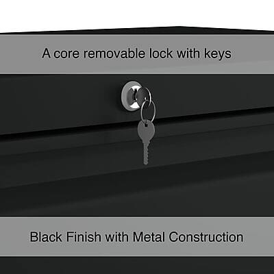 A core removable lock with keys  
Black Finish with Metal Construction
