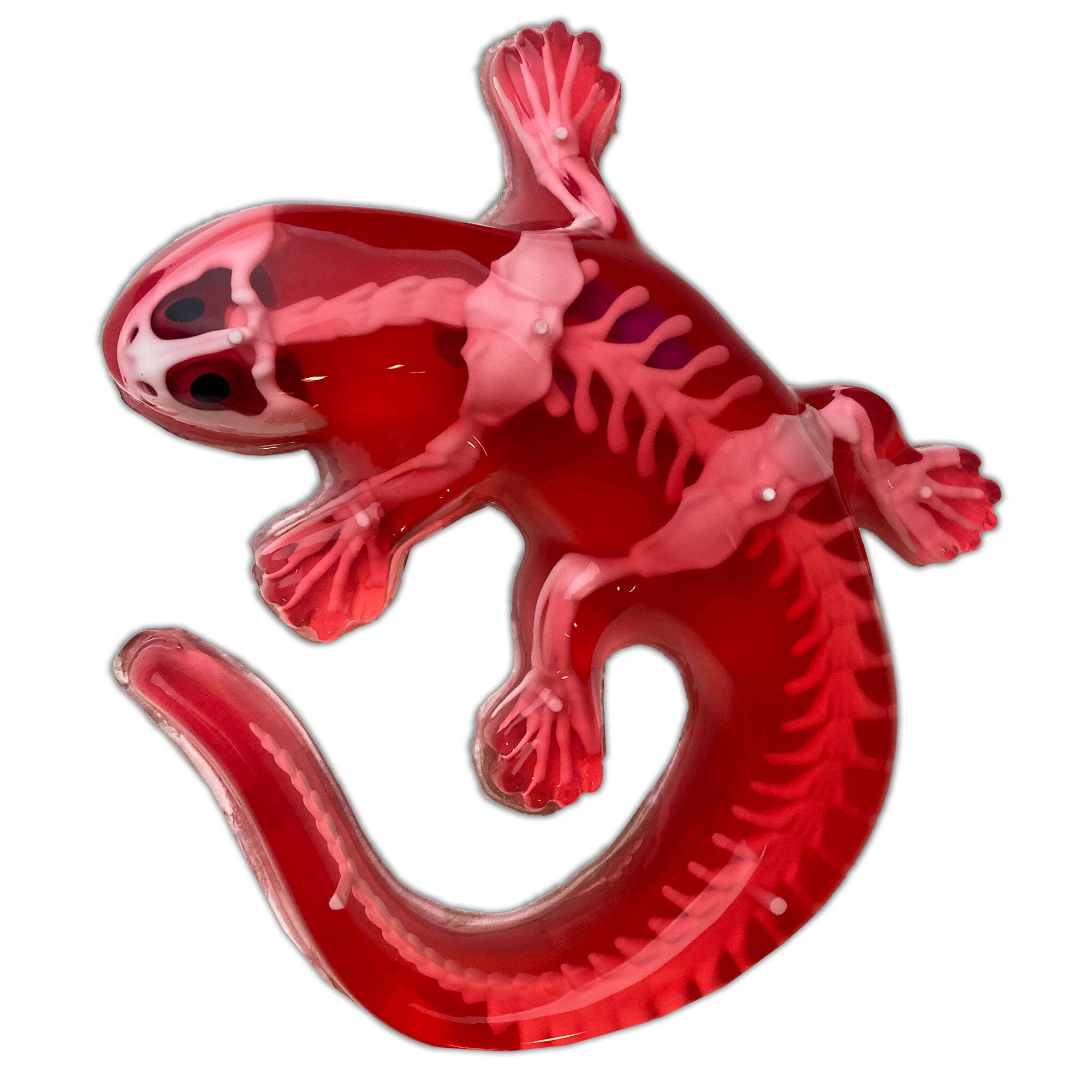 Alt View 1. Top Secret Toys - Dissect-It: Salamander Lab.