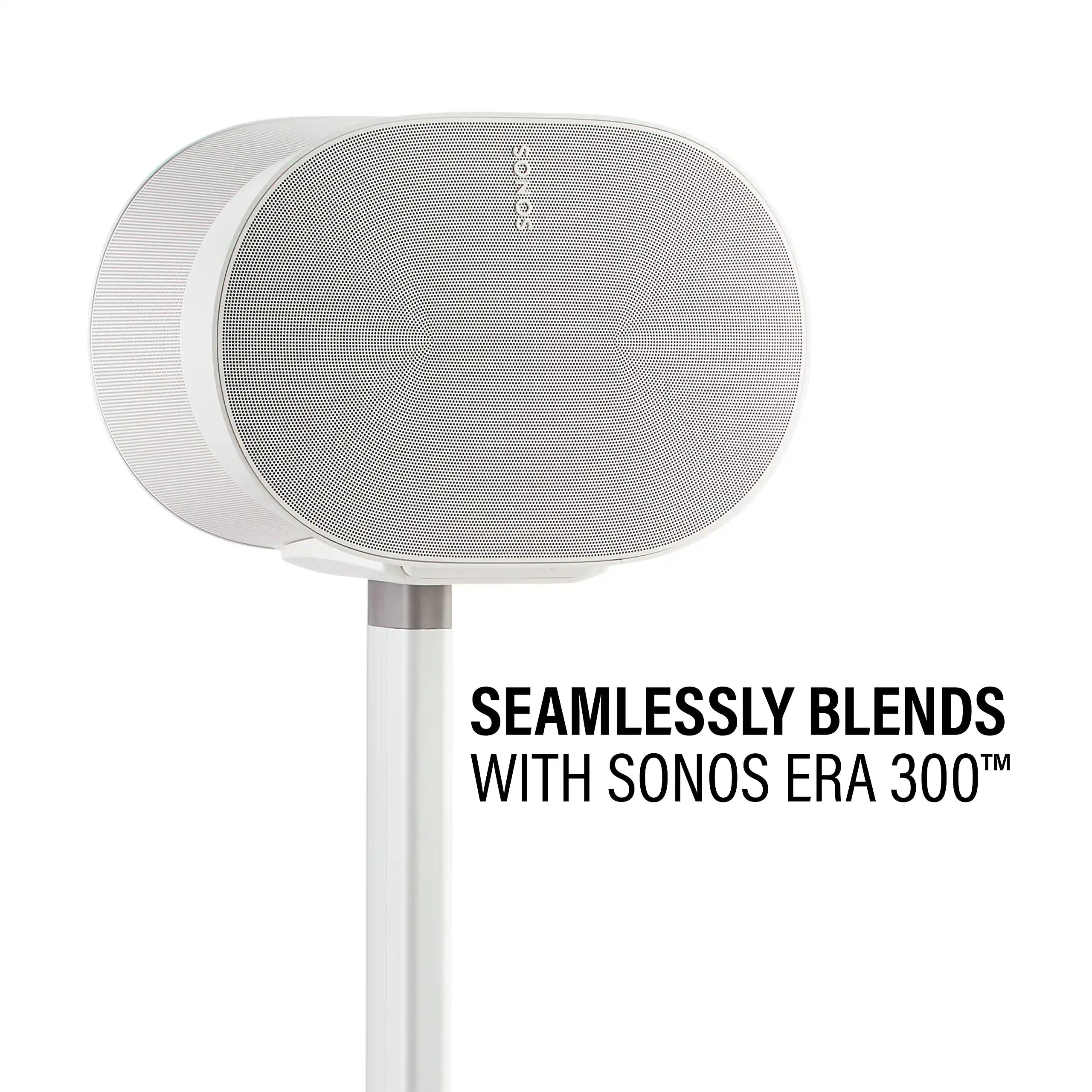 SEAMLESSLY BLENDS WITH SONOS ERA 300™