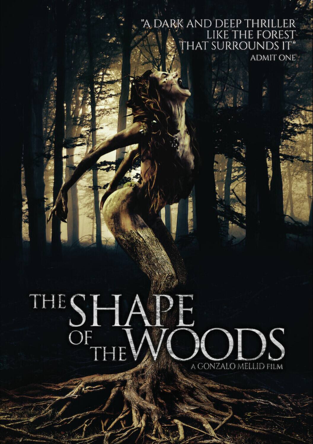 The Shape Of The Woods   - DVD price history on PriceWatchPro