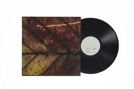 Pay Money to My Pain - gene - VINYL LP