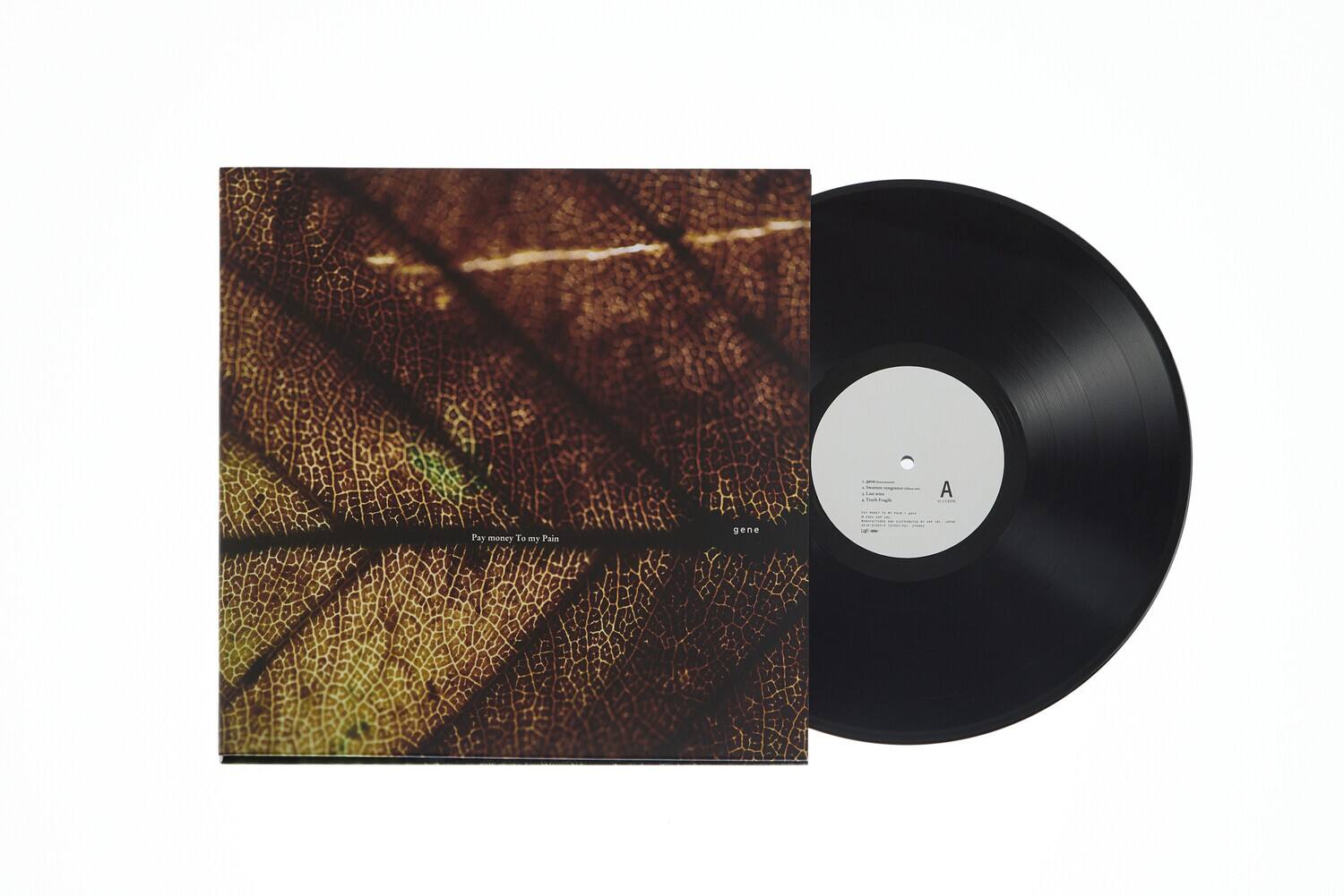 Pay money To my Pain  
gene  

A