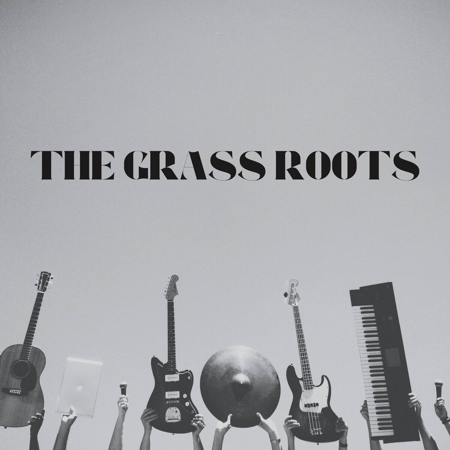The Grass Roots - The Grass Roots Greatest Hits!   - COMPACT DISCS [CD] price history on PriceWatchPro