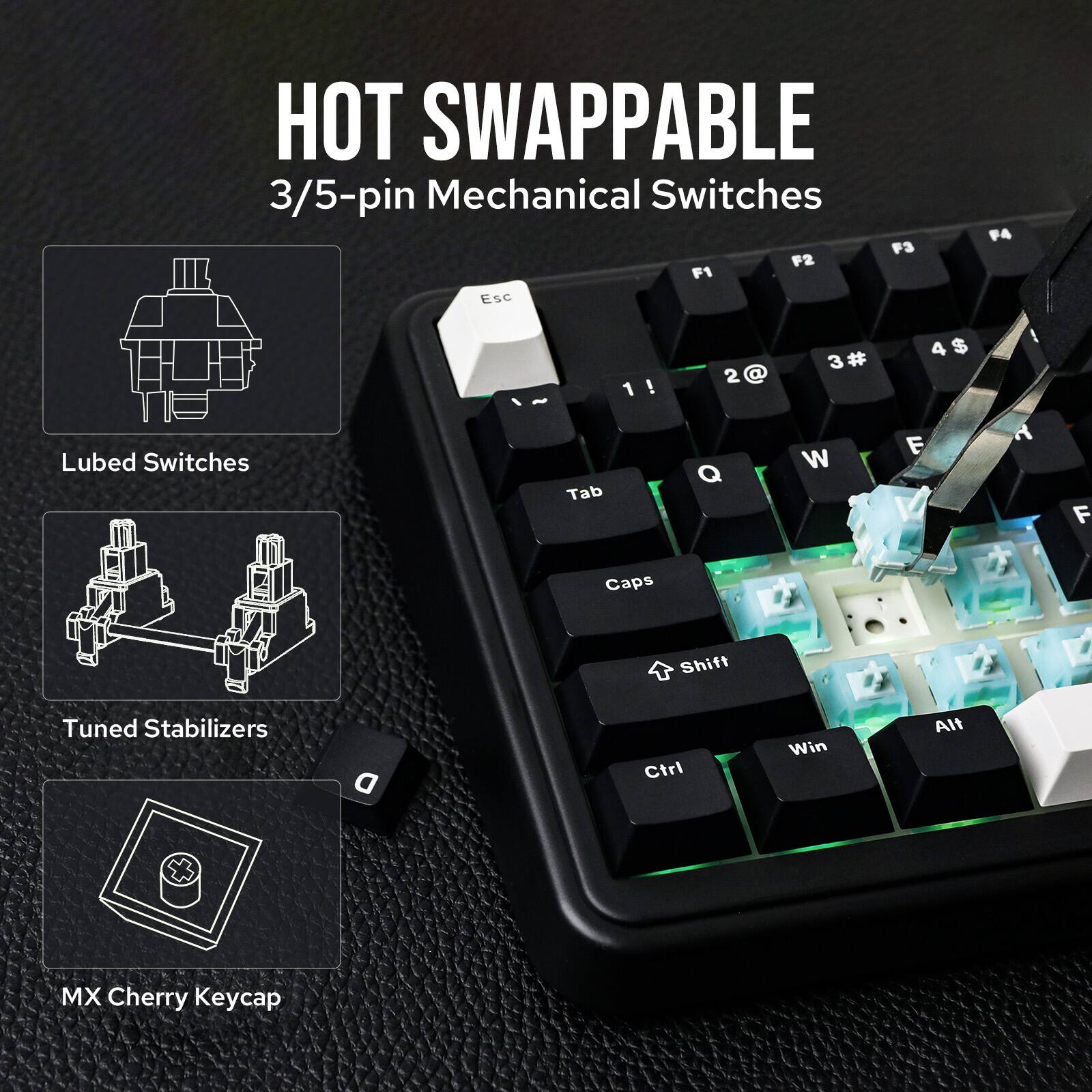 HOT SWAPPABLE  
3/5-pin Mechanical Switches  
Lubed Switches  
Tuned Stabilizers  
MX Cherry Keycap