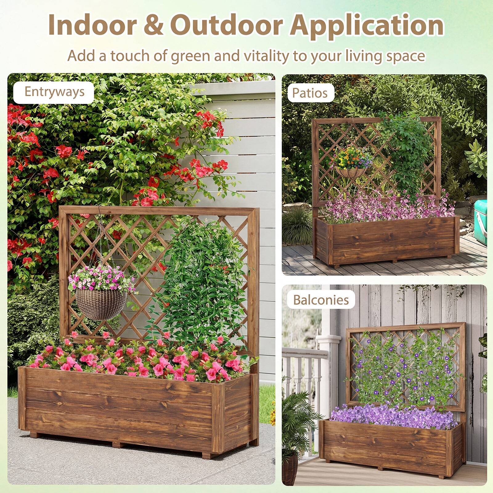 Indoor & Outdoor Application  
Add a touch of green and vitality to your living space  

Entryways  
Patios  
Balconies