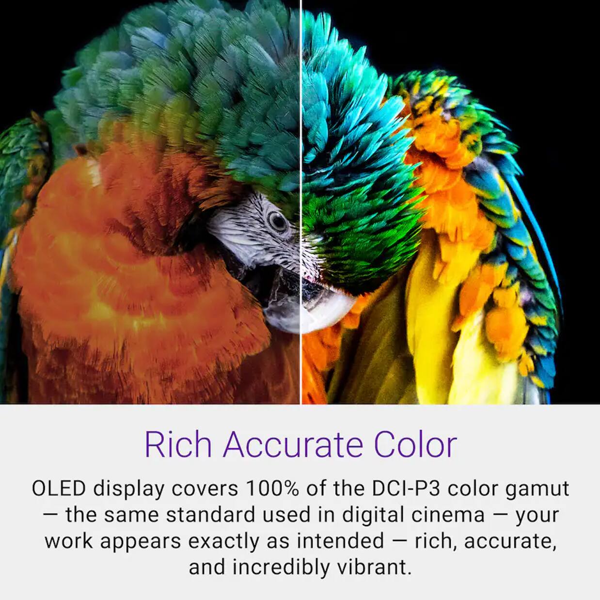 Rich Accurate Color

OLED display covers 100% of the DCI-P3 color gamut - the same standard used in digital cinema - your work appears exactly as intended - rich, accurate, and incredibly vibrant.