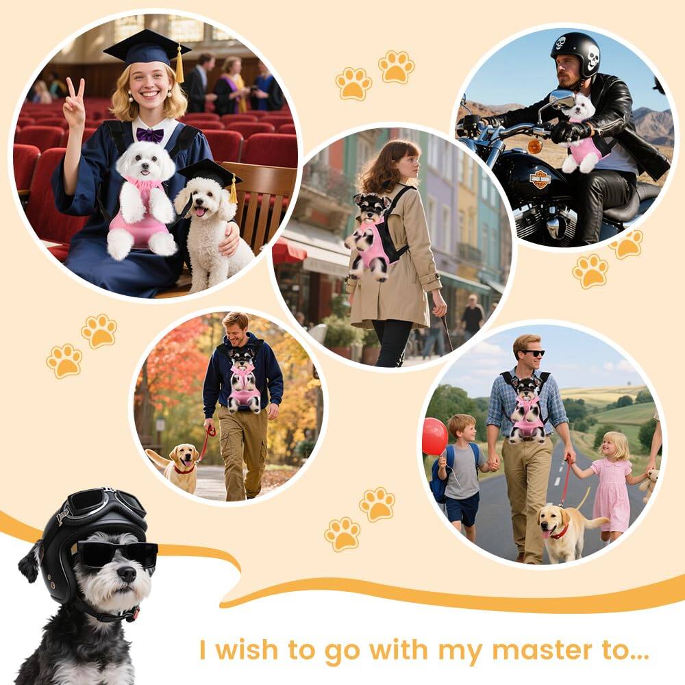 I wish to go with my master to...