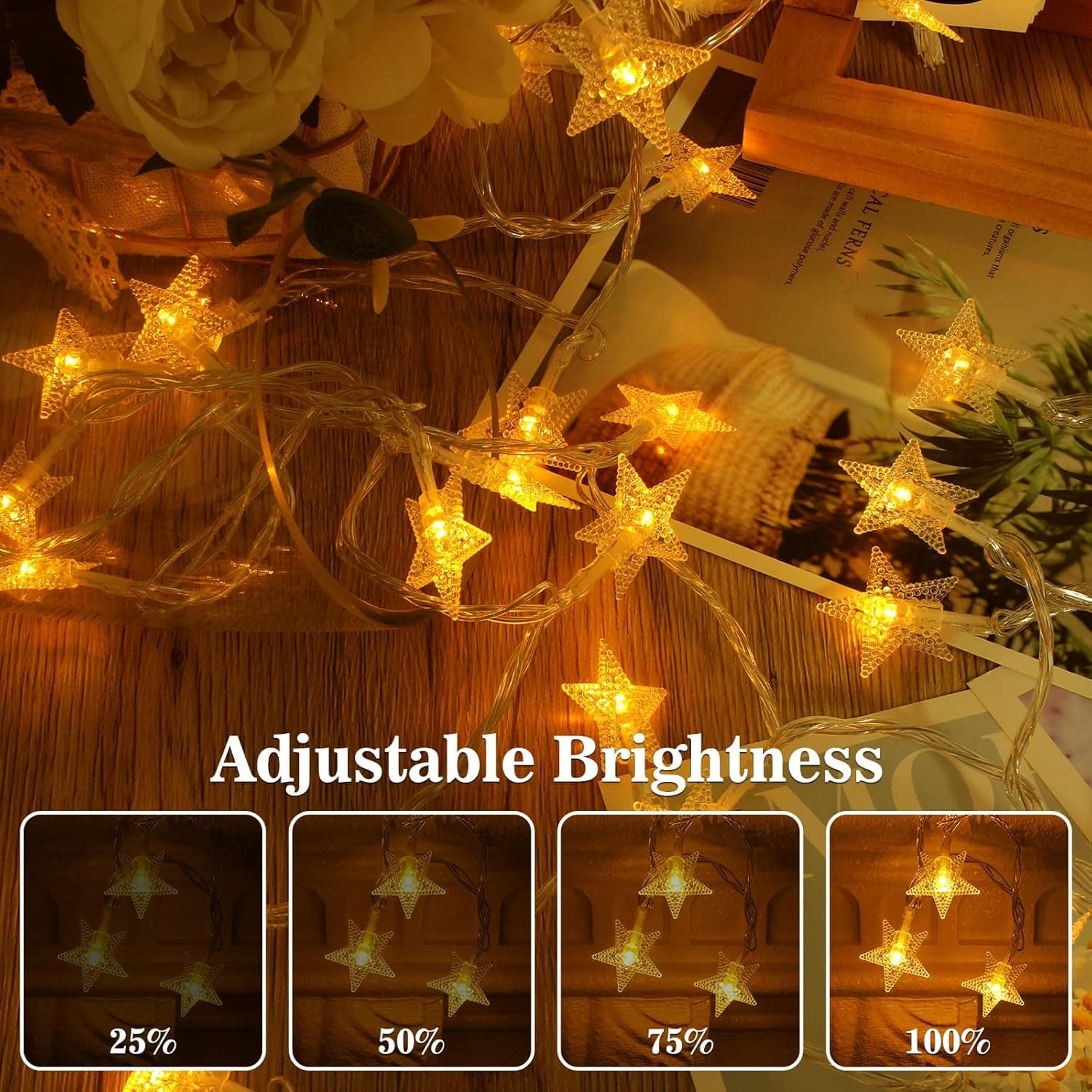 Adjustable Brightness  
25% 50% 75% 100%