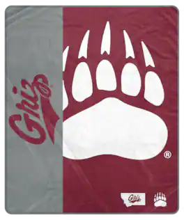 Pegasus - Montana Grizzlies 50" x 60" Endzone Ultra Soft Throw Blanket - Multicolor