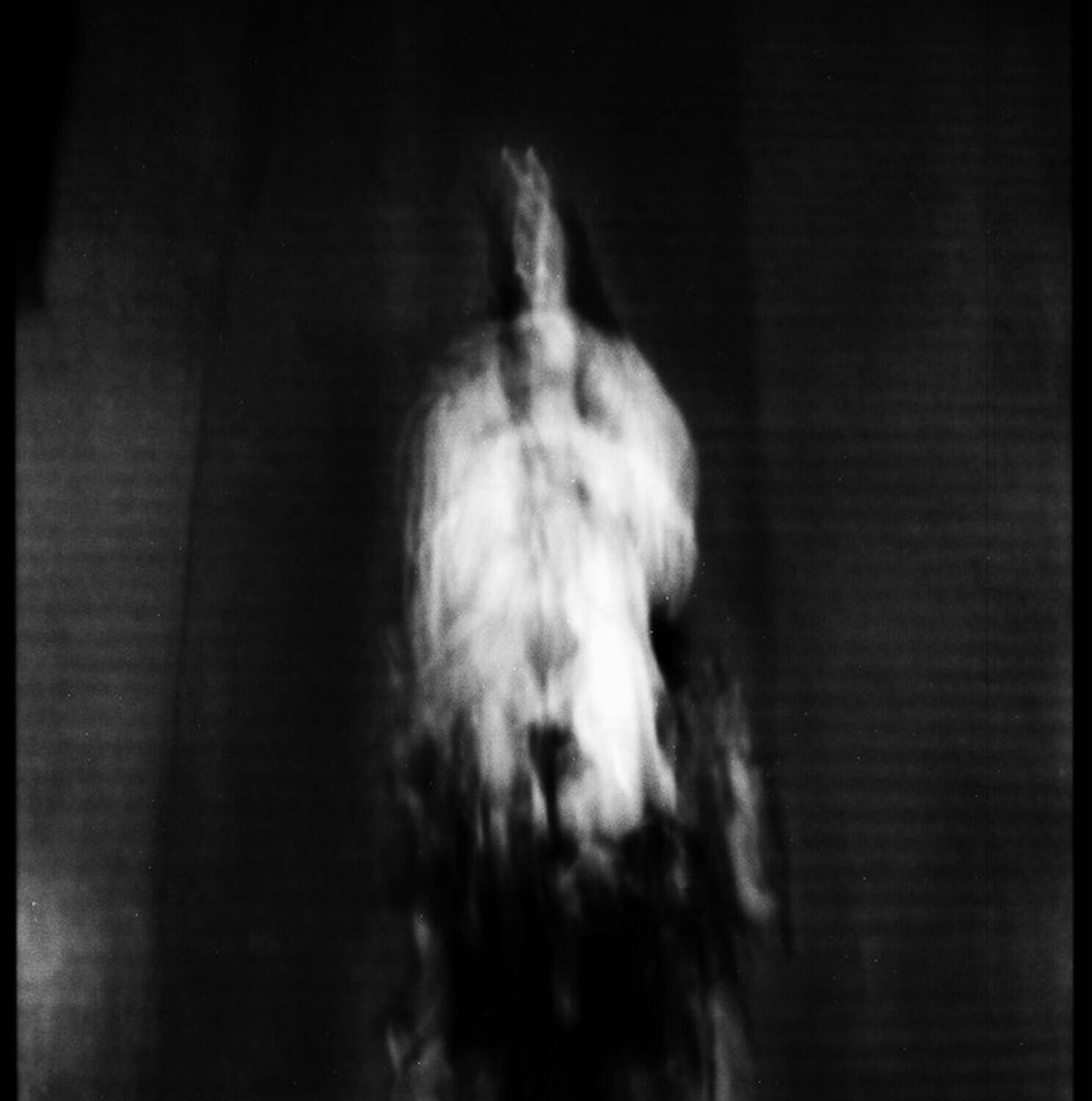 Front. Cigno - Morte E Pianto Rituale   - VINYL LP.