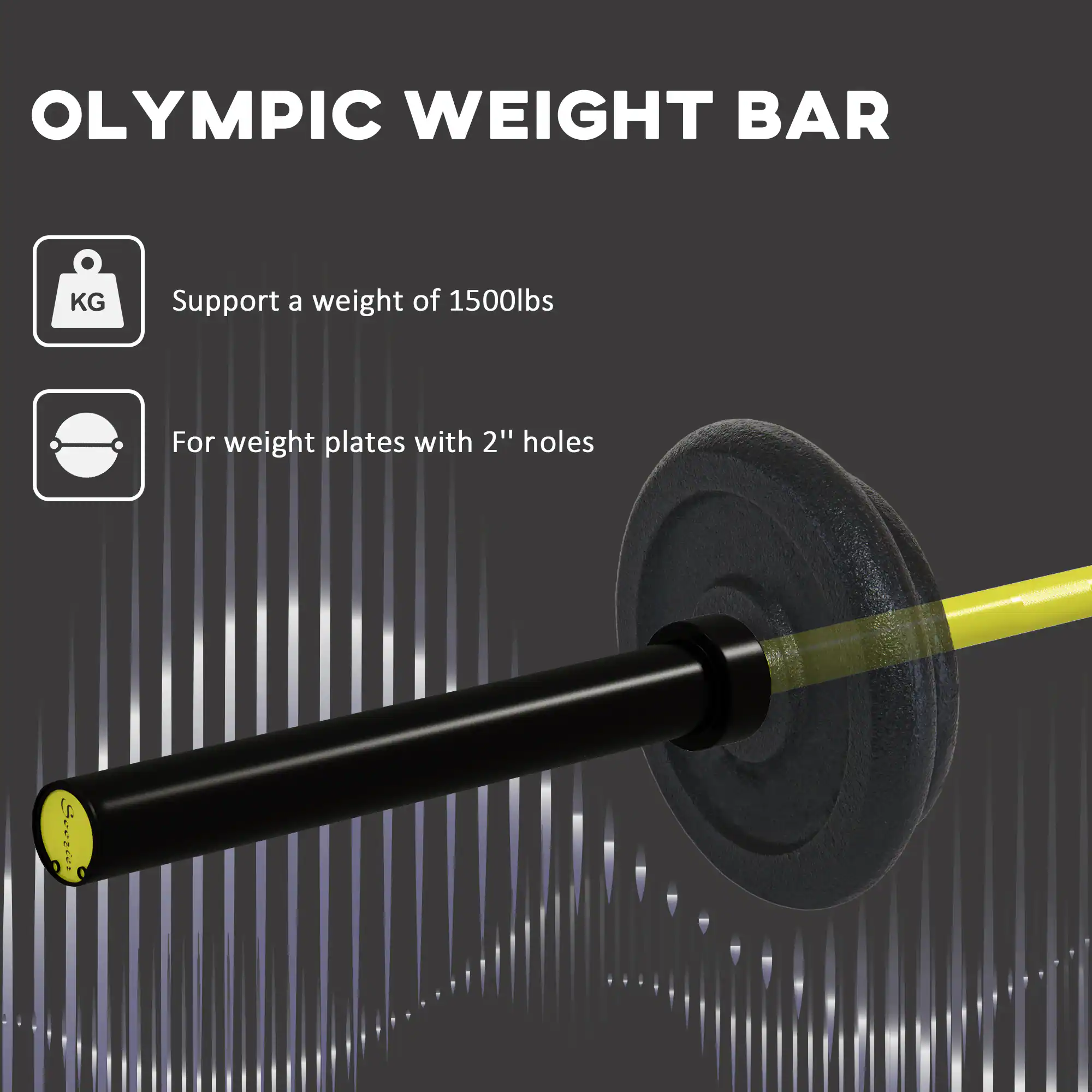 OLYMPIC WEIGHT BAR

- Support a weight of 1500lbs
- For weight plates with 2" holes