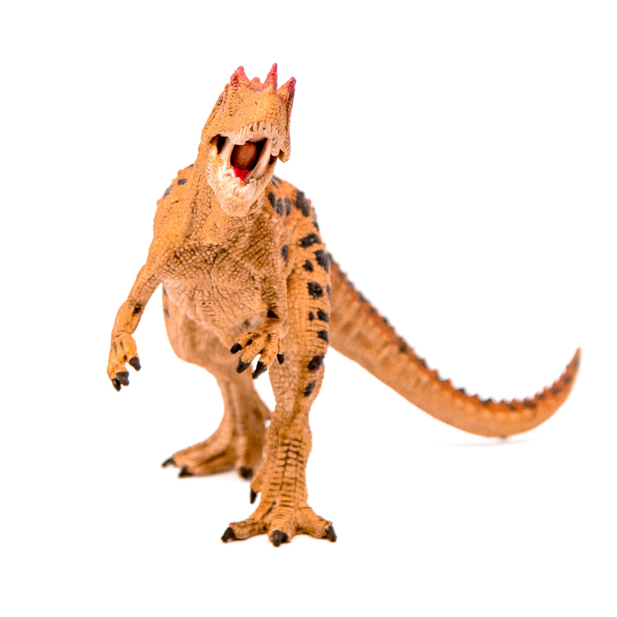 Left. Schleich - Dinosaurs: Ceratosaurus.