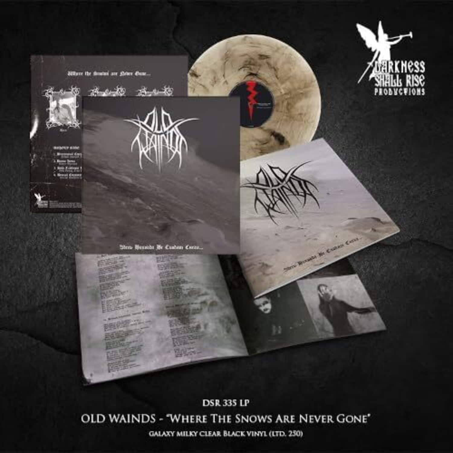 Old Wainds - Where The Snows Are Never Gone   - VINYL LP price history on PriceWatchPro