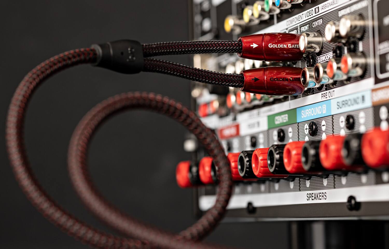 The text on the image reads: "IN (ASSIGNABLE (ASS VIDEO COMPONENT CENTER FRONT GOLDEN GATE SUBWOOFE GOLDEN GATE PRE OUT B SURROUND SURROUND + SPEAKERS." This text is describing the various audio and video connections available on the back of the device. The text indicates that there are multiple audio and video options available, such as surround sound, subwoofer, and pre-out connections.