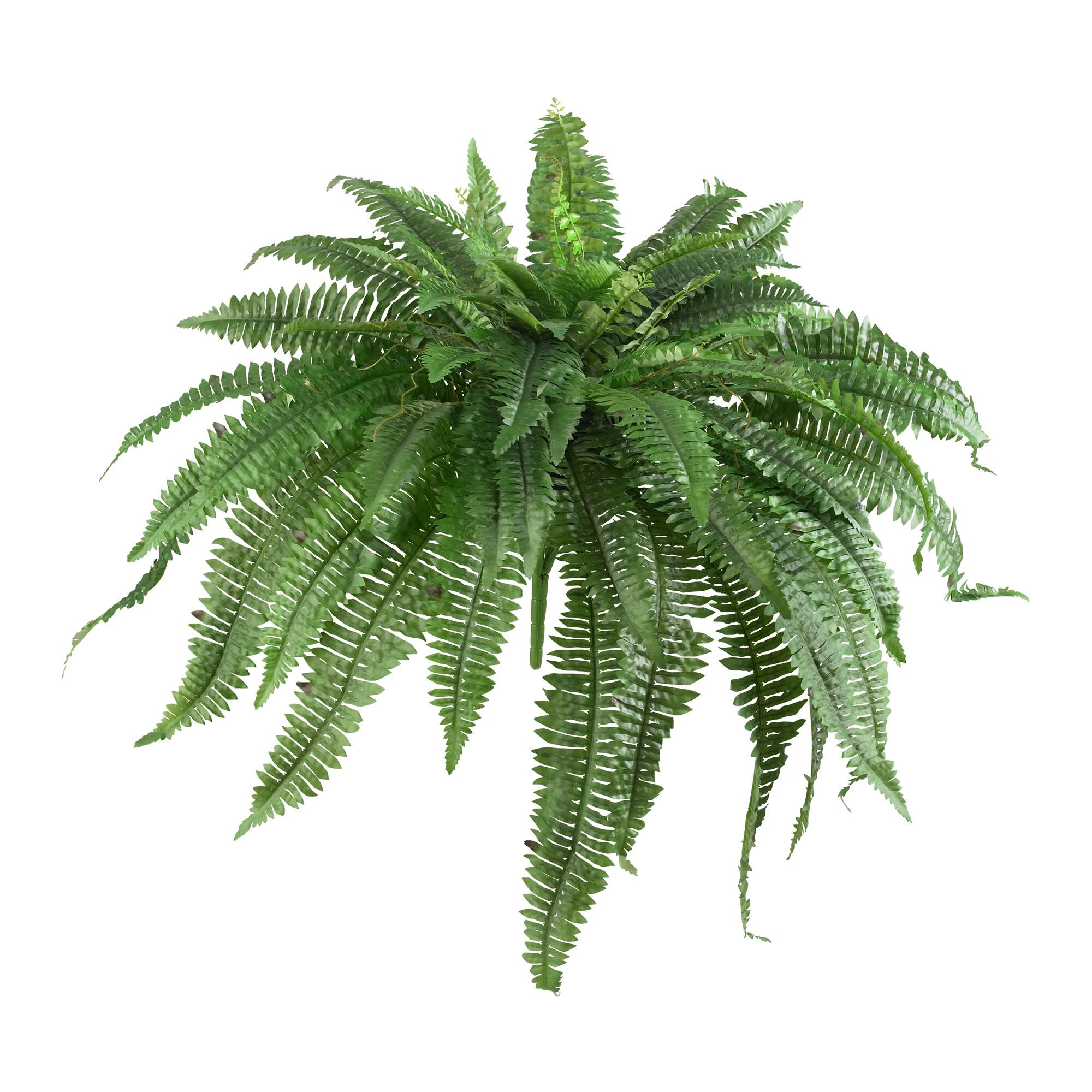 Front. BreeBe - 48" Boston Fern (Set of 2) - Green.