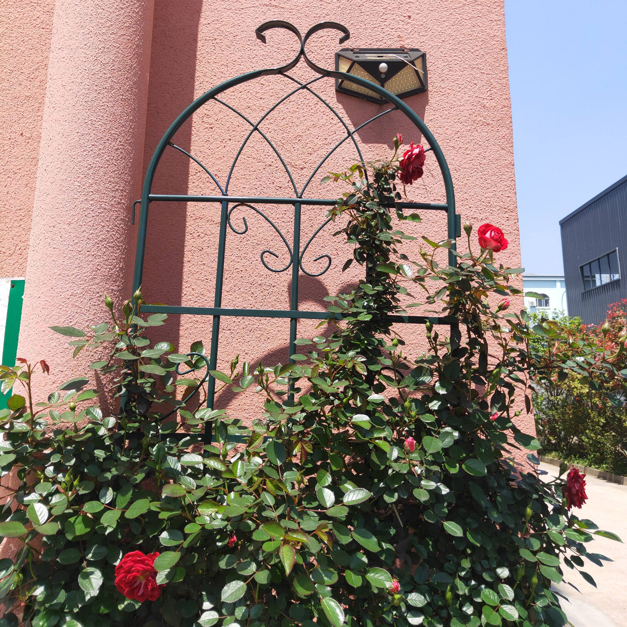 Back. Loheer - 4 Pack Metal Garden Trellis for Climbing Plants Outdoor Flower Support - Black.