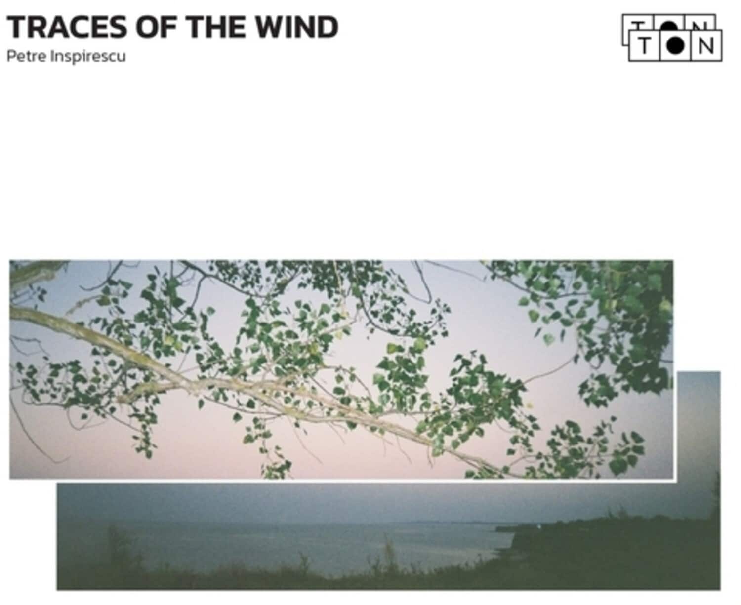 Petre Inspirescu - Traces Of The Wind   - 12-INCH SINGLE [12 inch Vinyl Single]