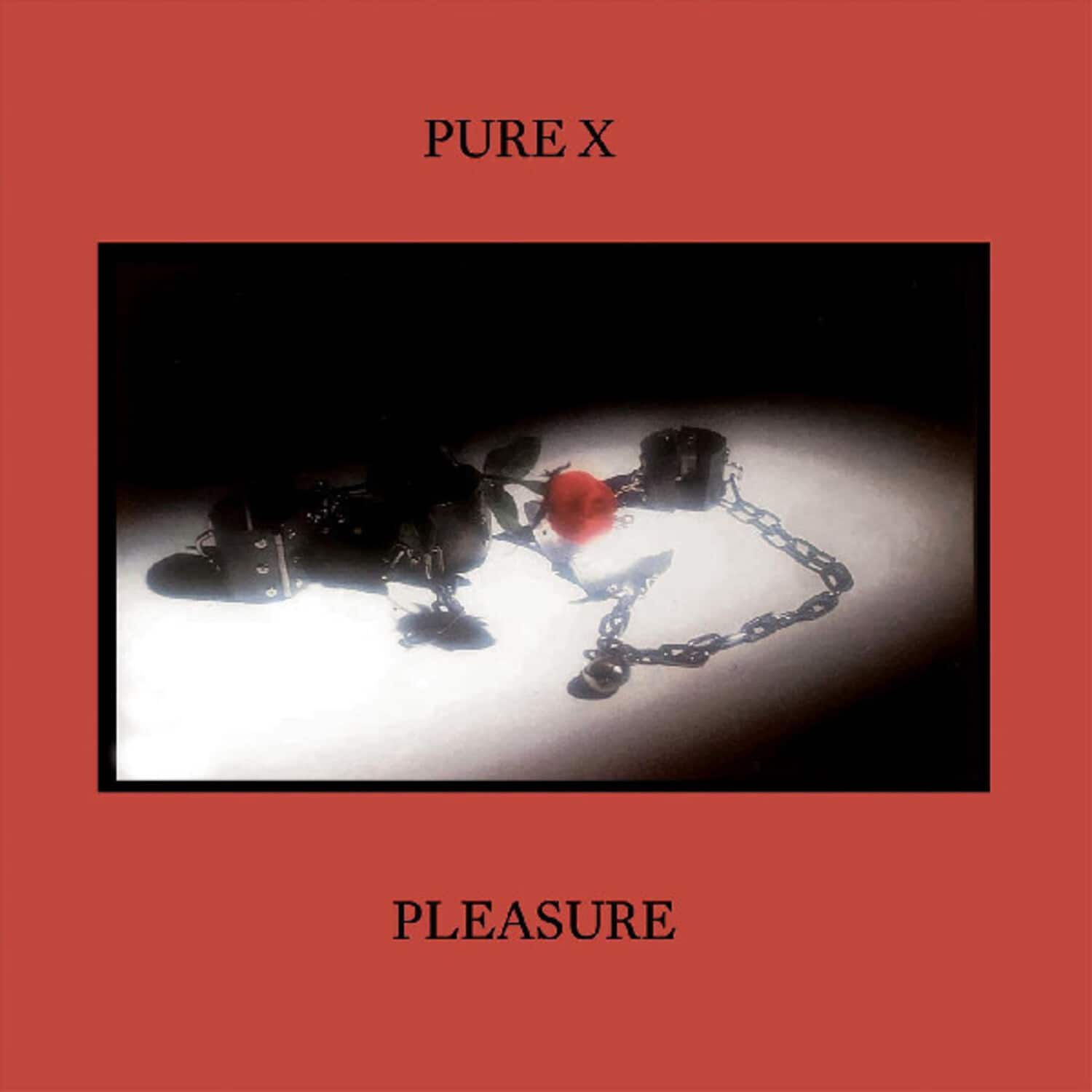 Pure X - Pleasure   - VINYL LP price history on PriceWatchPro