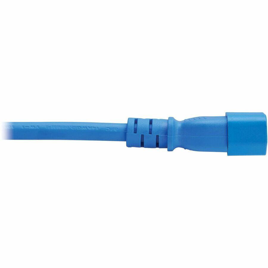 The text on the image reads:

"CNNSCSAN OFD"