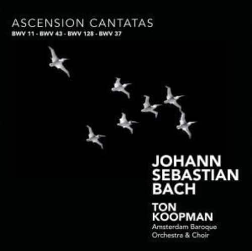 Ton Koopman - Ascension Cantatas  - COMPACT DISCS