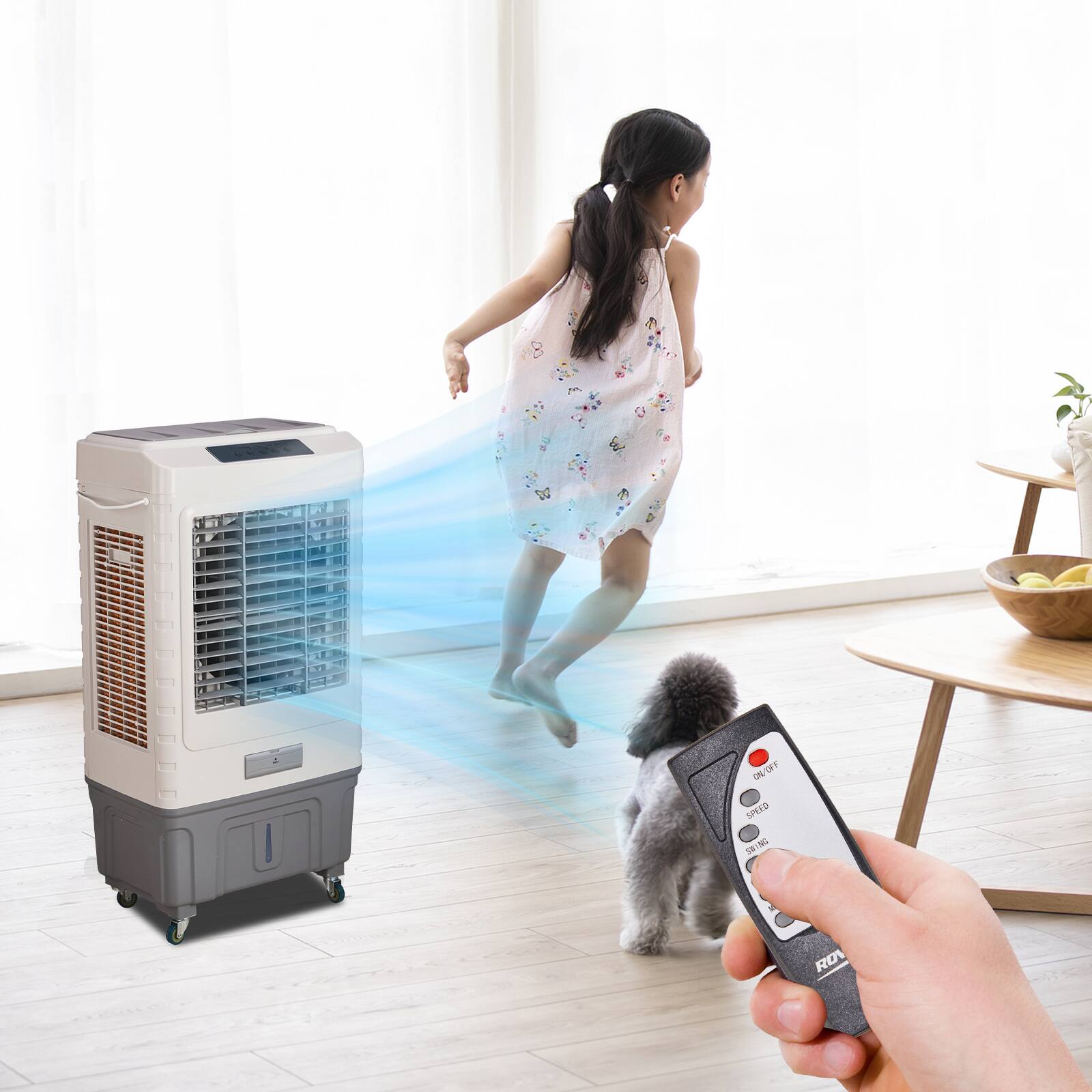 U% OFF UT 5 SPEED N L ROV