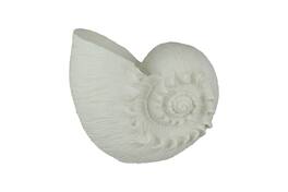 Contrast Inc. - Sandstone Finish Frilled Nautilus Shell Accent Lamp 10 Inches High - White
