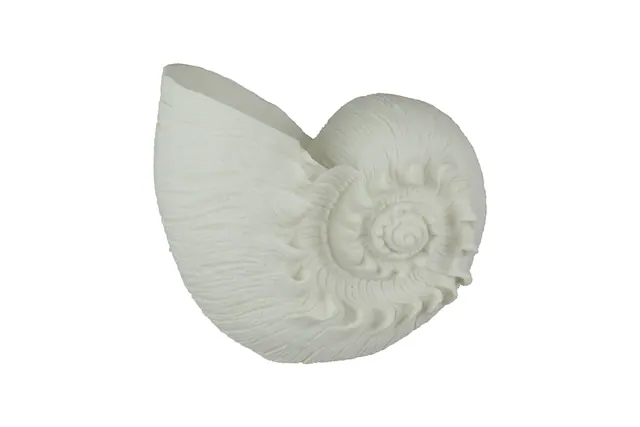 Front. Contrast Inc. - White Sandstone Finish Frilled Nautilus Shell Accent Lamp 10 Inches High - White.