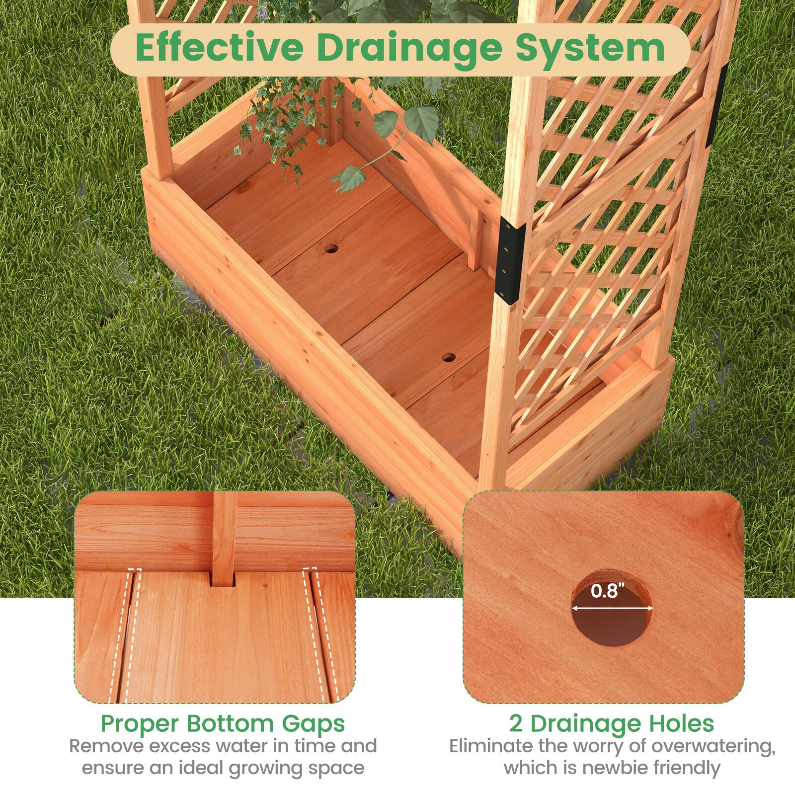 Effective Drainage System

Proper Bottom Gaps
Remove excess water in time and ensure an ideal growing space

2 Drainage Holes
Eliminate the worry of overwatering, which is newbie friendly