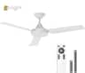 ENLIGHT - 52" Smart DC Ceiling Fan with CCT Dimmable LED Light, 3 Blades, Energy Efficient, Quiet Operation, Damp Rated - White
