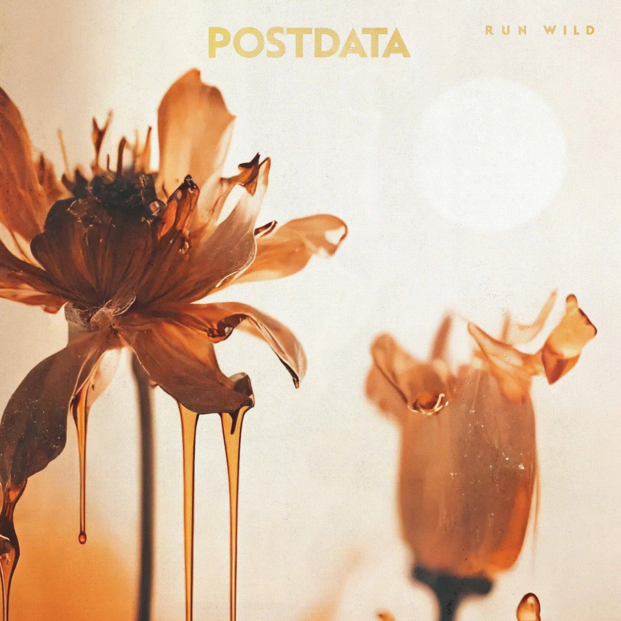 Front. Run Wild [LP].