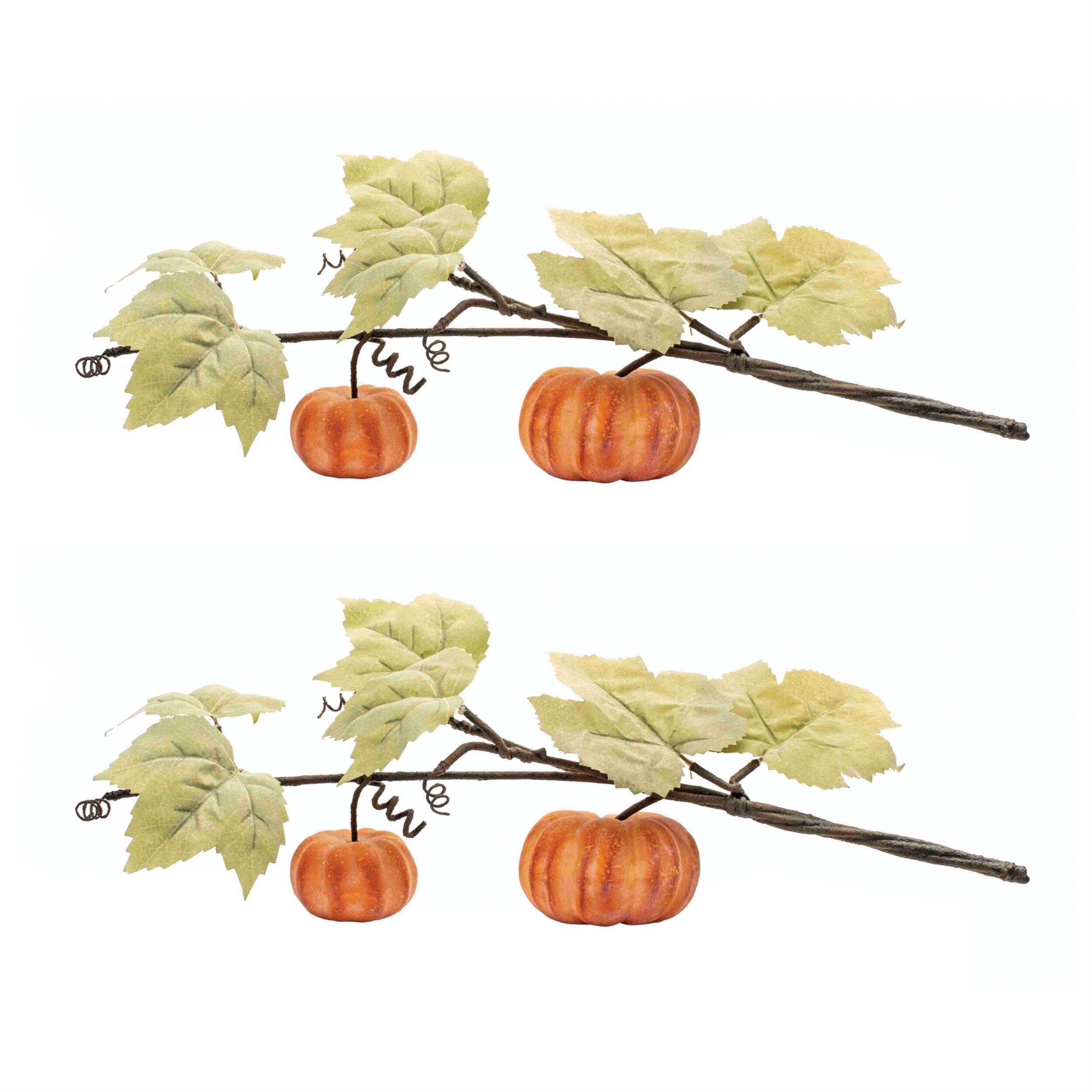Angle. BreeBe - Fall Pumpkin Vine (Set of 2) - Green, Orange.