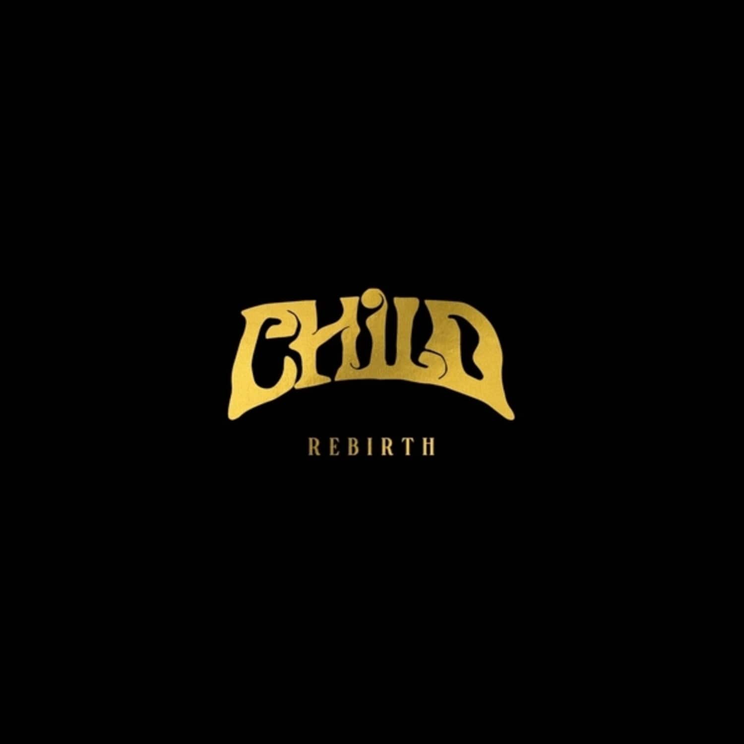 The Child - Rebirth   - VINYL LP price history on PriceWatchPro