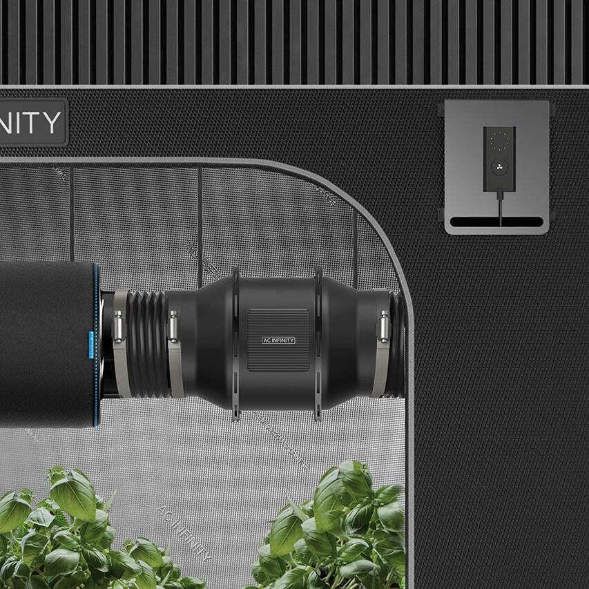 NITY  
AC INFINITY  
AC-INFINITY ACII